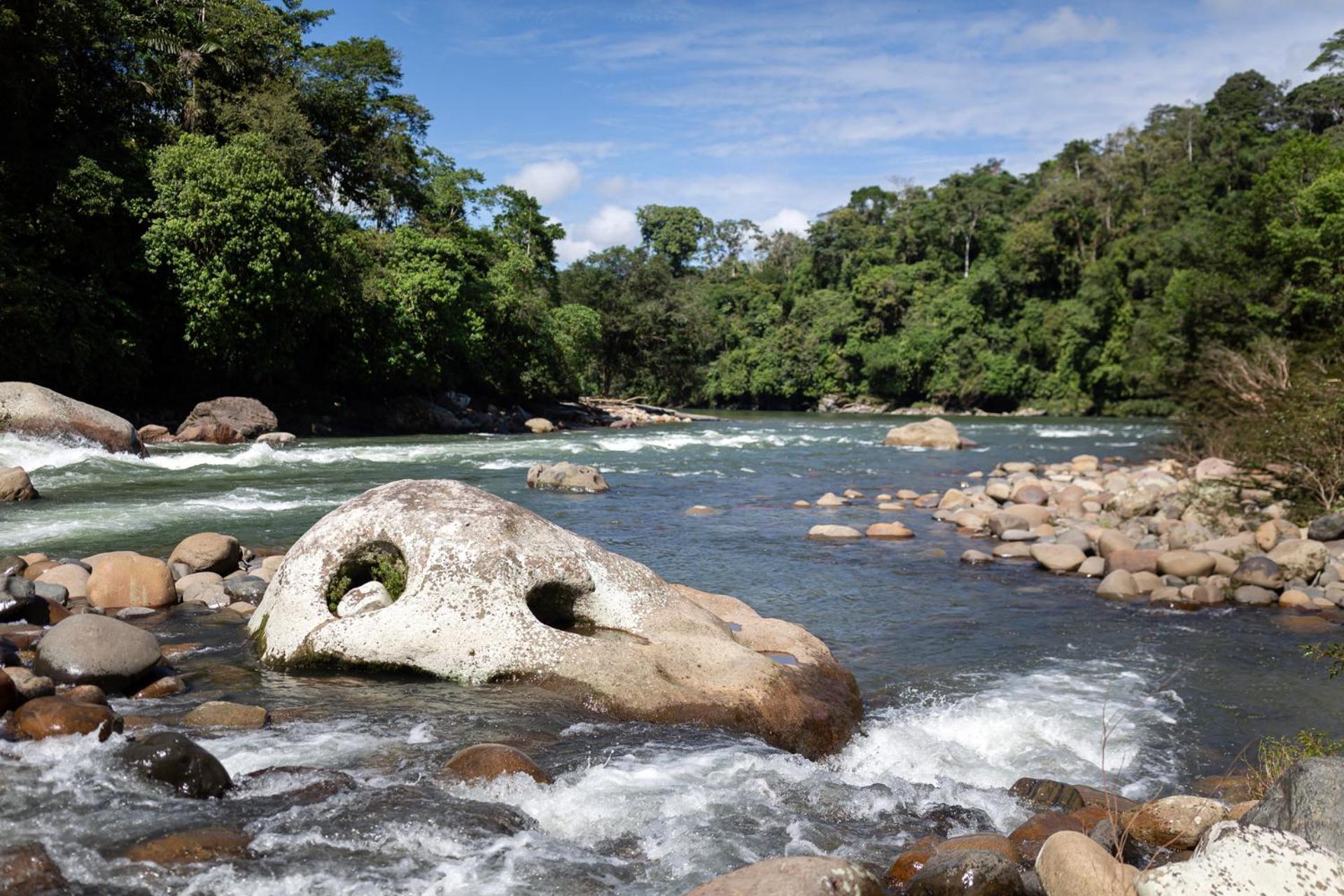 Kuyana Amazon Lodge Archidona Exterior photo